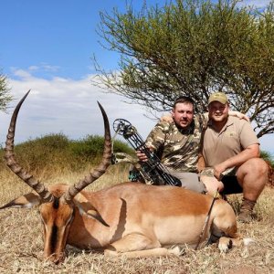 Impala Bow Hunting South Africa