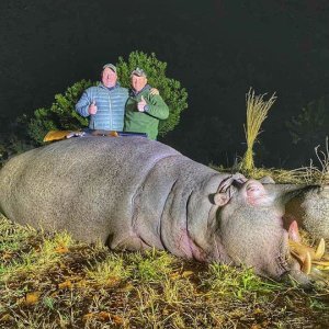 Hippo Hunting South Africa