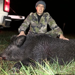 Pig Hunting