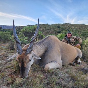 Eland Hunt South Africa