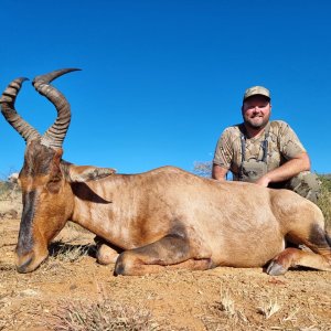 Hartebeest Hunt South Africa