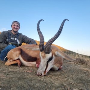 Springbok Hunt South Africa