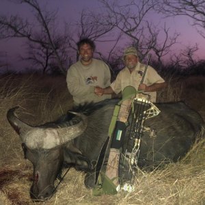 Buffalo Hunt South Africa