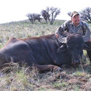 Water Buffalo Hunt Argentina