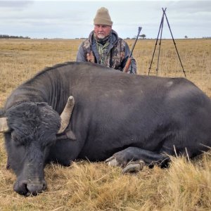 Water Buffalo Hunt Argentina