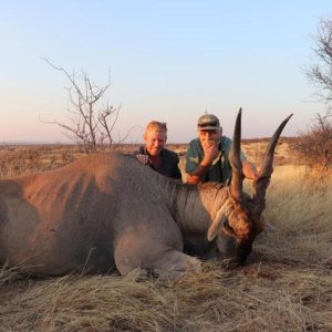 Eland Hunt Namibia