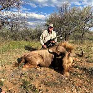 Golden Wildebeest Hunt Namibia