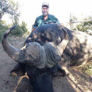 Buffalo Hunt  Easten Cape South Africa