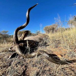 Kudu With Zana Botes Safari