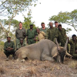 Eland Hunt Lipilichi Mozambique