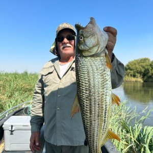 Fishing Tiger Fish Botswana