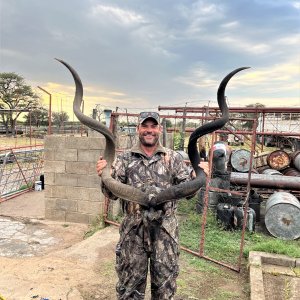 62 Inch Kudu Skull Botswana