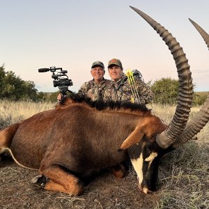 Sable Bow Hunting South Africa