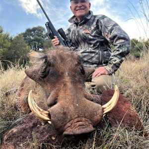 Warthog Hunting South Africa