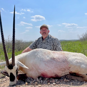 Arabian Oryx Hunt Texas