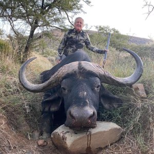 Buffalo Hunt South Africa