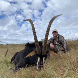 Sable Hunting Eastern Cape South Africa