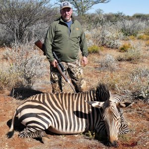 Hartmann's Mountain Zebra Hunt Namibia