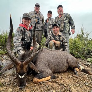 Nyala Hunting Eastern Cape South Africa