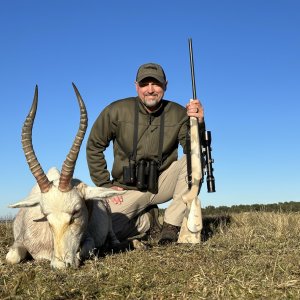 White Blesbok Hunt South Africa
