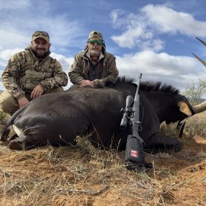 Sable Hunting Eastern Cape South Africa