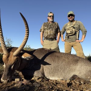 Waterbuck Hunting Eastern Cape South Africa