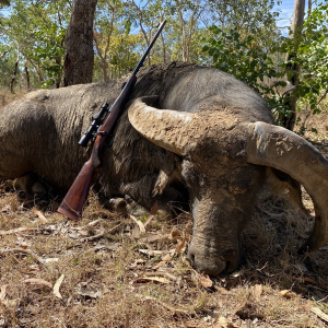 Water Buffalo Hunt Australia