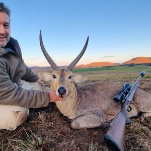 Reedbuck Hunt KwaZulu Natal South Africa