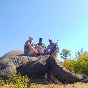 Elephant Hunt Zimbabwe