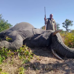 Elephant Hunt Zimbabwe