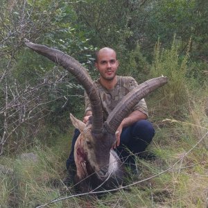 Beceite Ibex Bow Hunt Spain