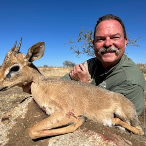 Damara Dik Dik Hunt Namibia