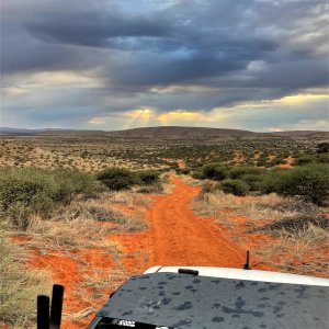 Kalahari South Africa Scenery