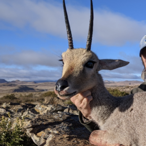 Vaal Rhebuck Hunt South Africa