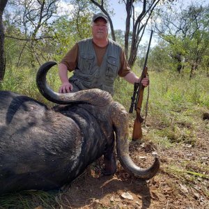 Buffalo Hunt Naivasha Zimbabwe