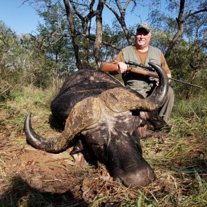 Buffalo Hunt Naivasha Zimbabwe