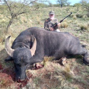 Hunting Asian Water Buffalo Argentina