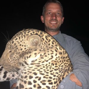 Zambia - Luangwa valley 2023 leopard