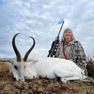 White Springbok Hunt South Africa