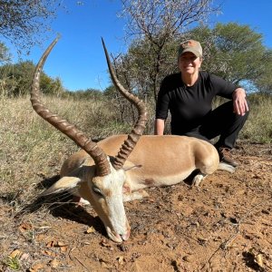 Impala Hunt South Africa