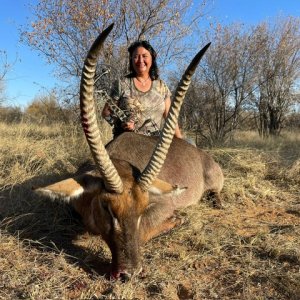 Waterbuck Bow Hunt South Africa