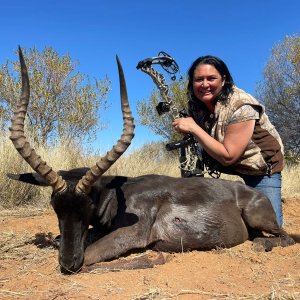 Black Impala Bow Hunt South Africa