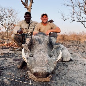 Warthog Hunt Tanzania