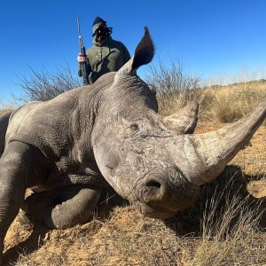 Rhino Hunt
