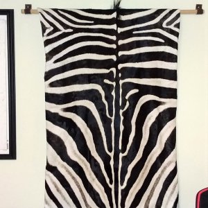 Zebra Tapestry Taxidermy