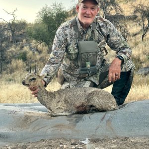 Klipspringer Hunt Namibia