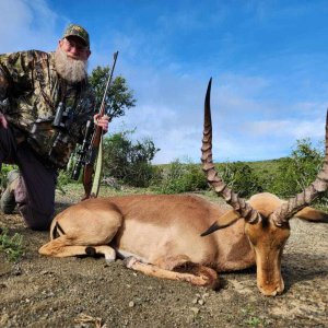 Impala Hunt Eastern Cape South Africa