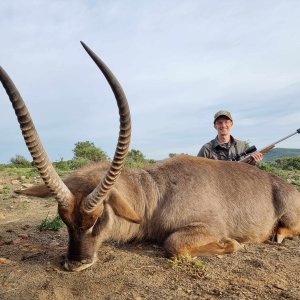 Waterbuck Hunt Eastern Cape South Africa