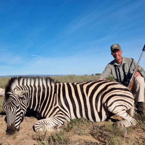 Zebra Hunt Eastern Cape South Africa