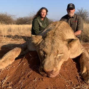 Lioness Hunt South Africa